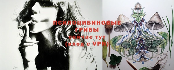 ALPHA PVP Вяземский
